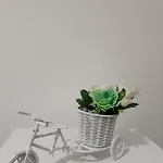 A Casa Di Peppe