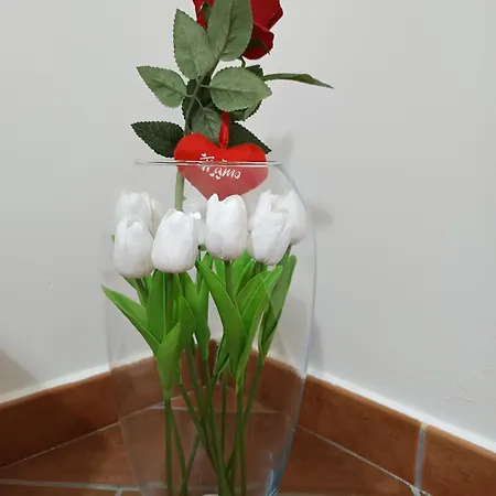 فندق مبيت وإفطار A Casa Di Peppe باليرمو