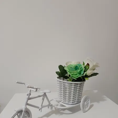 A Casa Di Peppe فندق مبيت وإفطار باليرمو