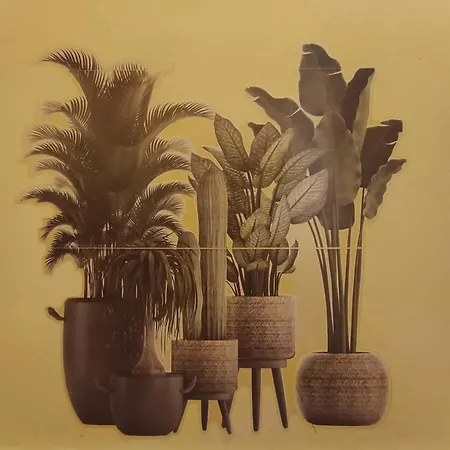 A Casa Di Peppe باليرمو